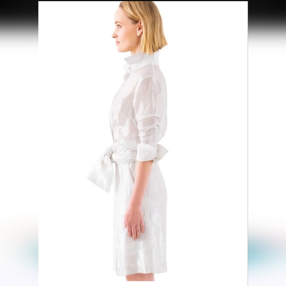 GRETCHEN SCOTT Breezy Blouson Dress- Glinda lurex -silver/white. Size Medium - Picture 4 of 16